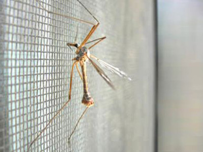 Szúnyogháló készítés