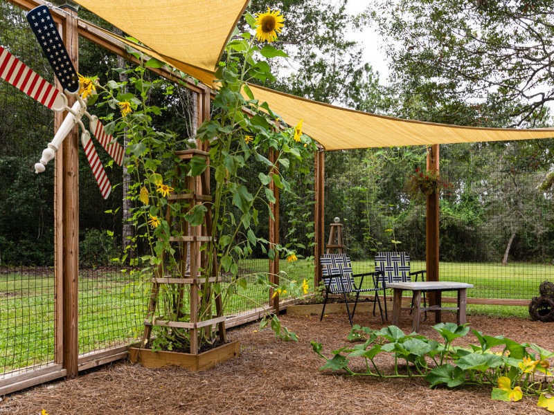 Napvitorla Napvitorla